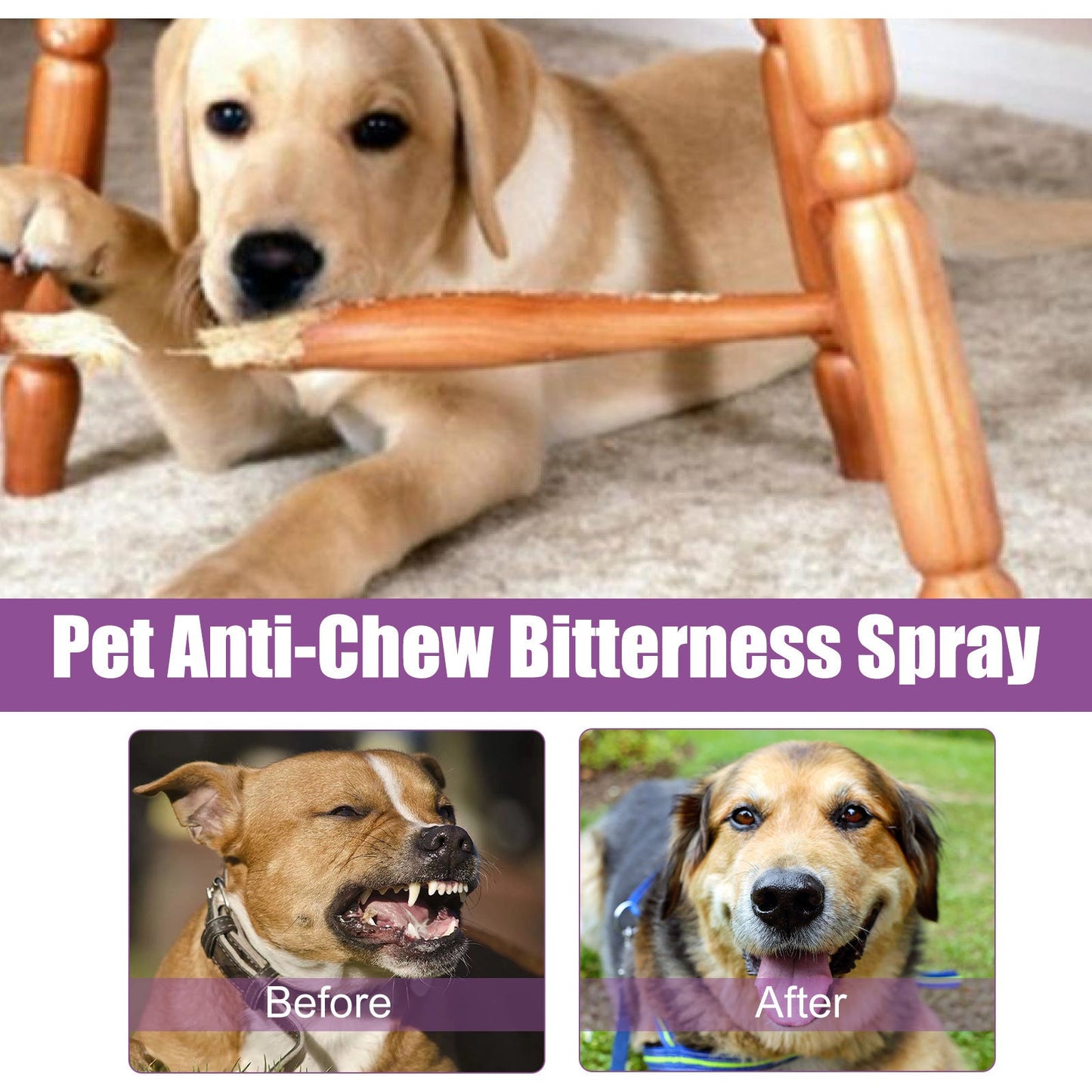 Spray anti-bruit pour animaux de compagnie Apaisant et apaisant pour animaux de compagnie